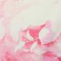 Preview: LENA Batik Flowers- rosa - Baumwolljersey 