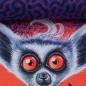 Preview: lemur toujours - thorsten berger - french terry