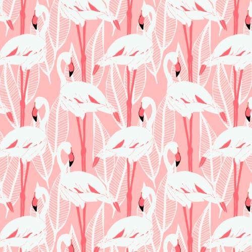 Flamingos - Canvas