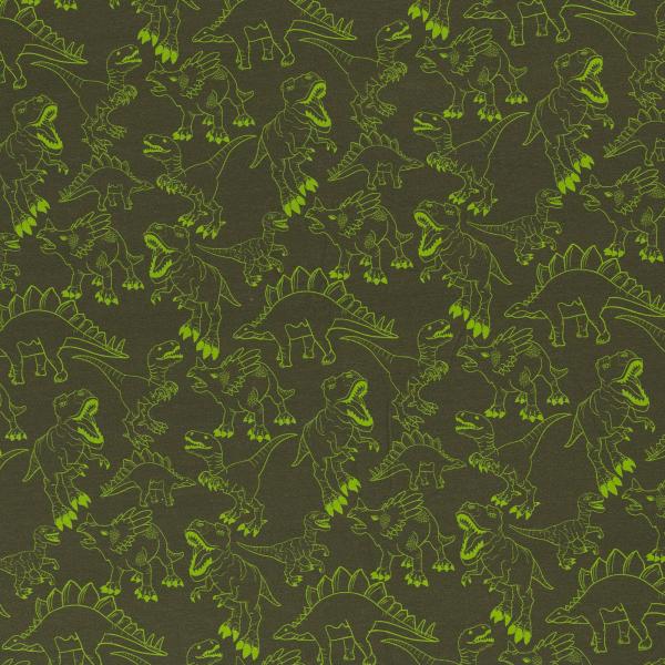 Jersey  JESSE Dinosaurier grün